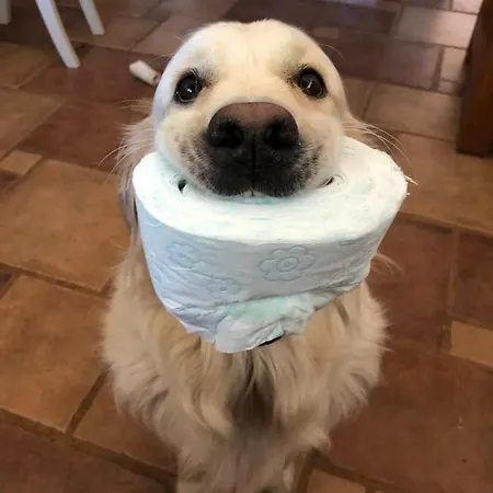 Bed and Breakfast Ool Inclusive