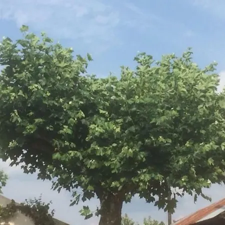 Ool Inclusive 4* Roermond