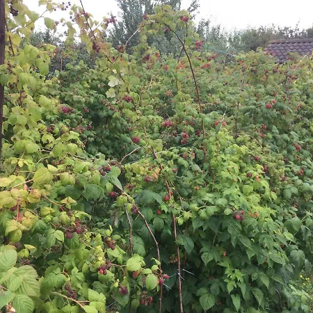 Ool Inclusive Roermond