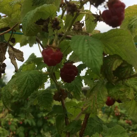 Ool Inclusive Bed & Breakfast 4*