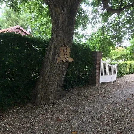 Bed and Breakfast Ool Inclusive 4*