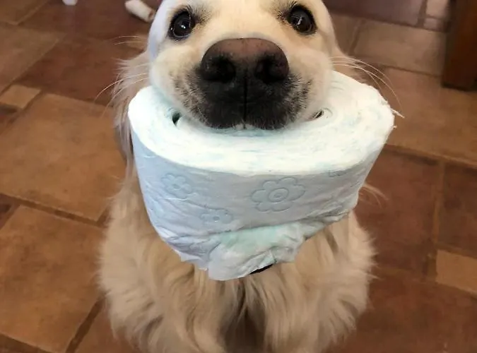 Bed & Breakfast Ool Inclusive