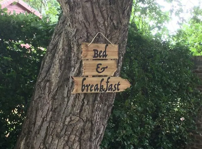 Ool Inclusive Frühstückspension Roermond