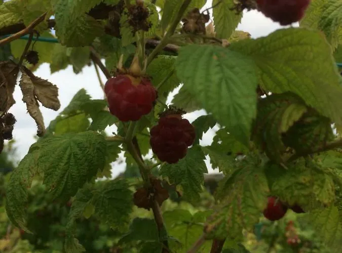 Ool Inclusive فندق مبيت وإفطار 4*