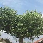 Ool Inclusive 4* Рурмонд