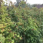 Ool Inclusive Рурмонд