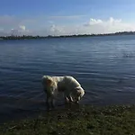 Ool Inclusive Отель типа 