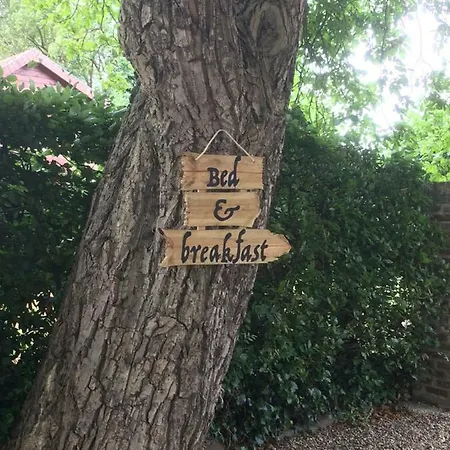 Ool Inclusive Panzió Roermond
