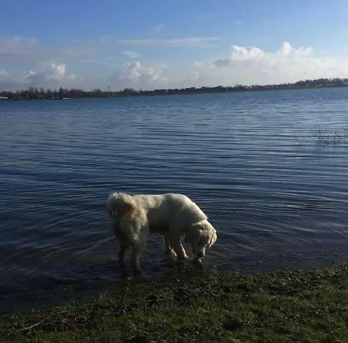 Ool Inclusive Oda ve Kahvaltı Roermond
